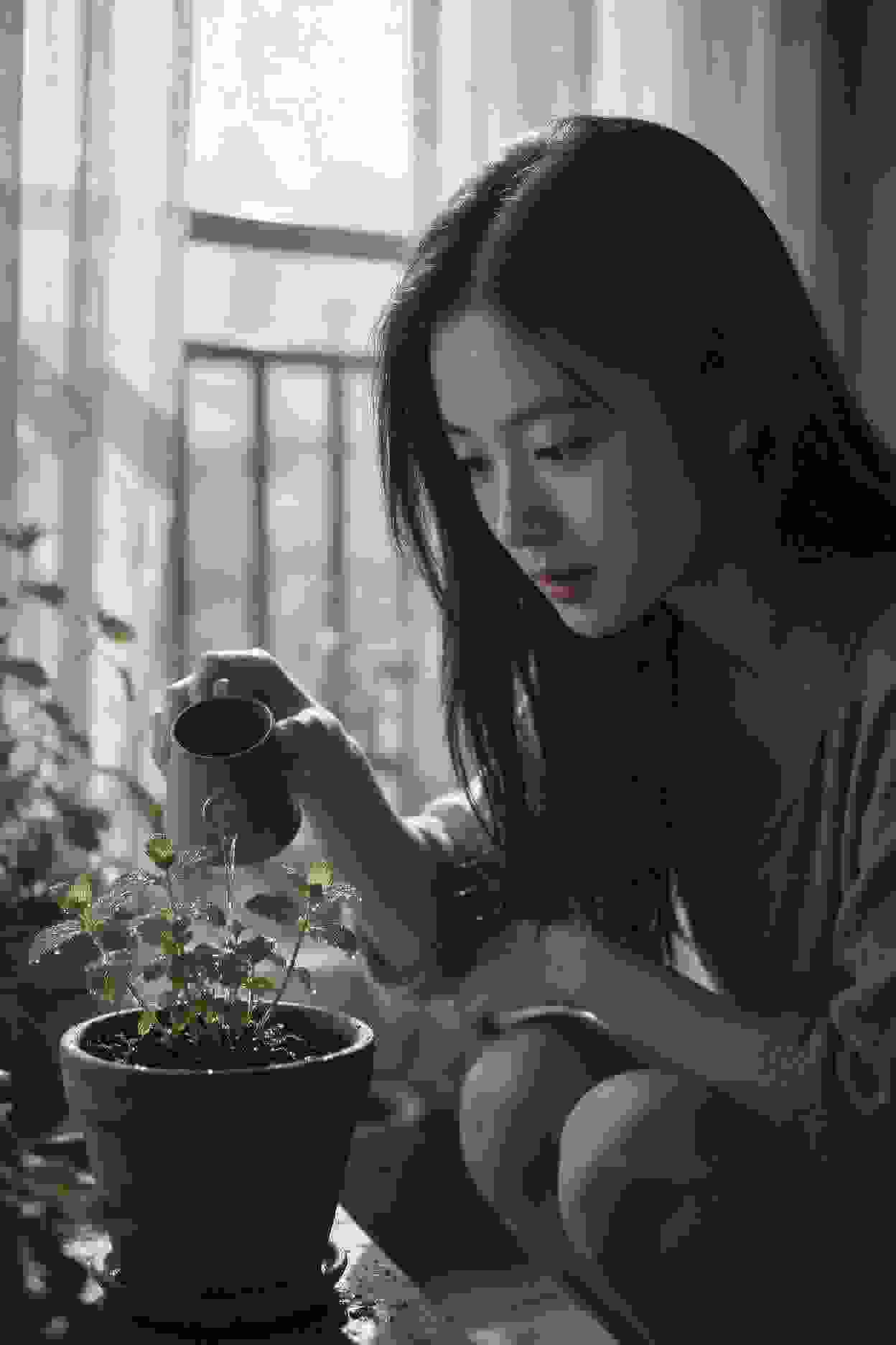 金牌律师的秘密